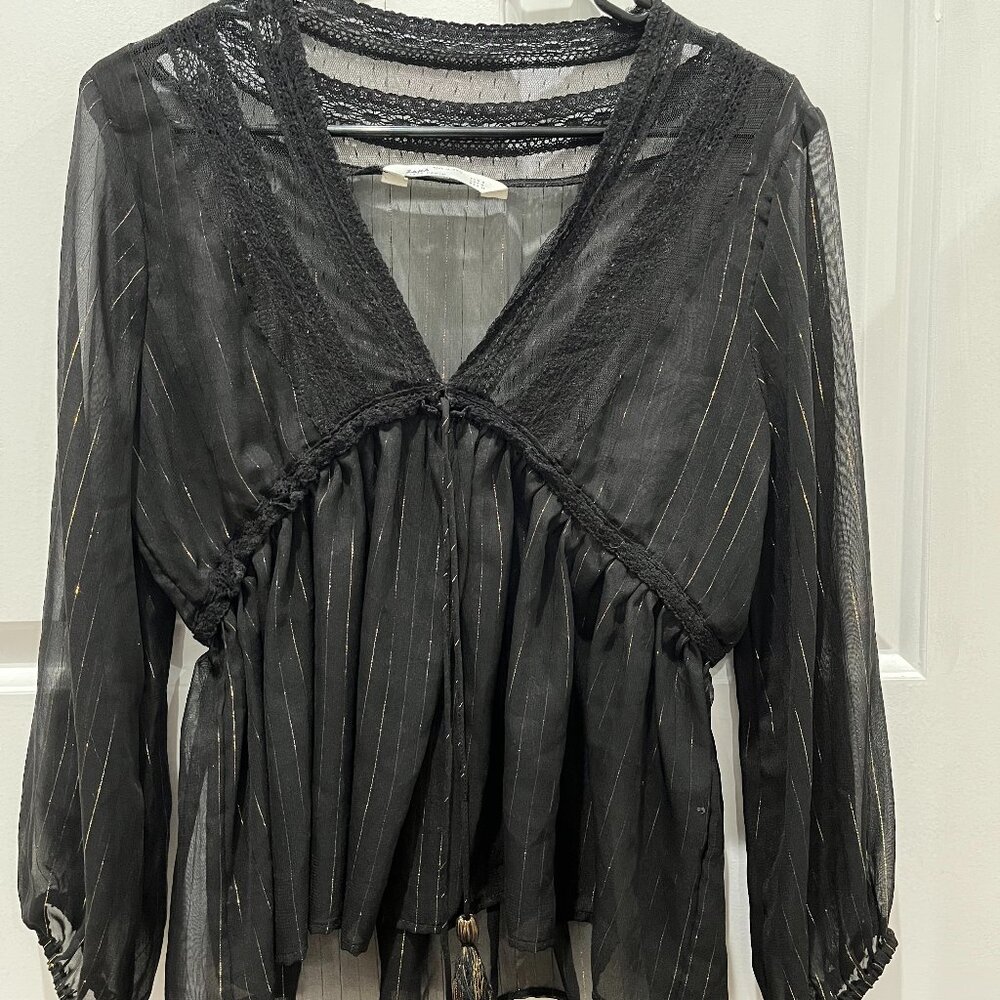 Zara Sheer Blouse
